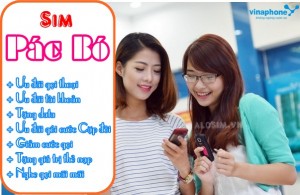 Tận hưởng hàng loạt ưu đãi khi hòa mạng Sim Pác Bó Vinaphone
