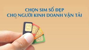 Chọn sim số đẹp cho người kinh doanh vận tải