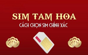 Sim Tam Hoa và cách chọn sim