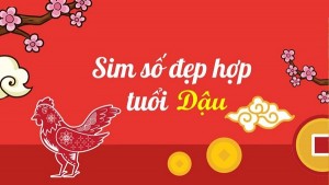 Sim số đẹp hợp tuổi Dậu