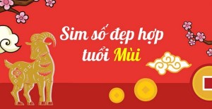 Sim phong thủy hợp tuổi Mùi