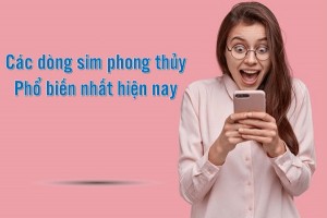 Dòng sim phong hủy phổ biến