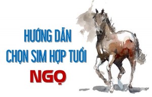 Cách chọn sim hợp tuổi Ngo