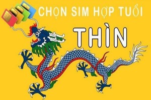 Cách chọn sim hợp tuổi Thìn Cách chọn sim hợp tuổi Thìn