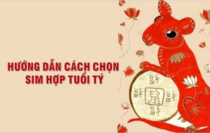 Chọn sim số đẹp hợp tuổi Tý