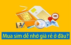 Mua sim dễ nhớ giá rẻ ở đâu