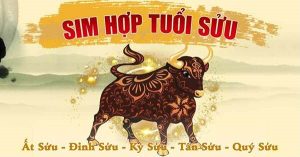 Tư vấn sim số đẹp hợp tuổi Sửu