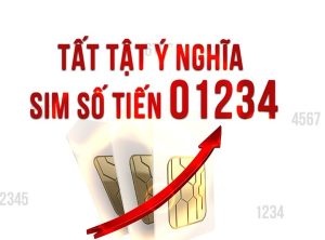 Ý nghĩa sim sảnh đuôi 01234