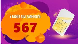 Ý nghĩa sim sảnh tiến đuôi 567