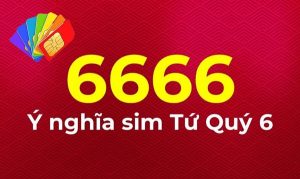 Ý nghĩa sim tứ quý 6666