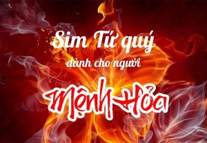 Sim Tứ quý hợp mệnh Hỏa