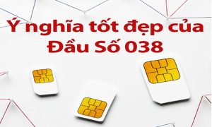 Ý nghĩa đầu số sim 038