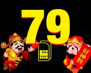 Ý nghĩa sim Thần tài 79