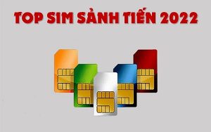 Top sim sanh tien 2022