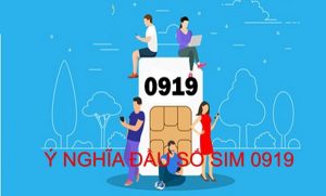 Ý nghĩa đầu số sim 0919