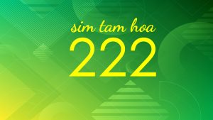 Ý nghĩa sim tam hoa 222