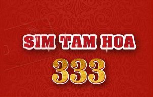 Ý nghĩa sim Tam hoa 333