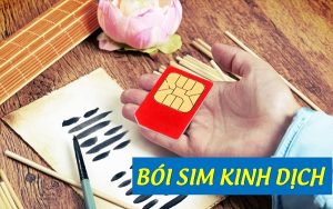 Cách bói sim kinh dịch