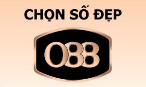 cách chọn sim đầu số088