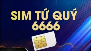 Lí do nên mua sim tứ quý 6666
