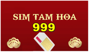 Ý nghĩa sim tam hoa 999