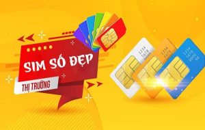 Sim số đẹp là gì