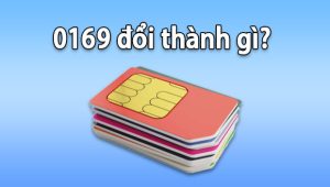 Đầu số 0169 đổi thành gì?