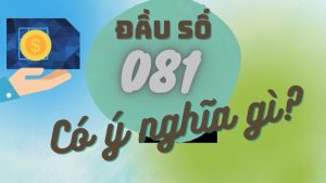 Đầu số 081 là gì