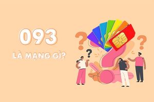 Đầu số 093 là mạng gì