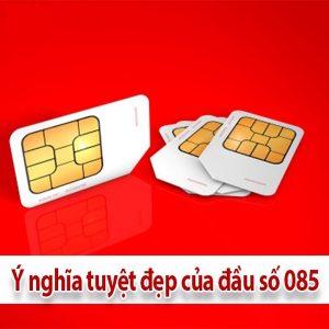 Sim đầu số 085 thuộc mạng nào