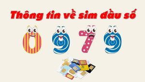 Sim đầu số 0979