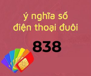 Ý nghĩa sim đuôi 838