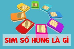 Sim số Hung là gì