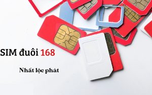 Ý nghĩa sim số đẹp 168