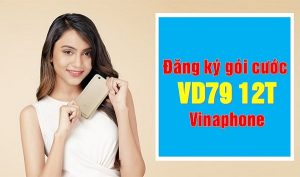 Đăng ký gói cước VD79 12T Vinaphone