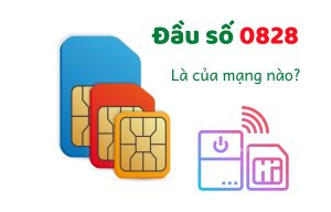 sim đầu số 0828