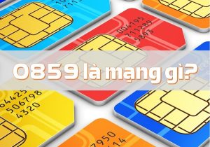 Đầu số 0859 là mạng gì
