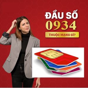 đầu số sim 0934