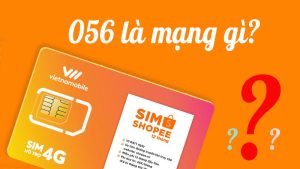 Sim đầu số 056
