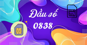 Sim đầu số 0838