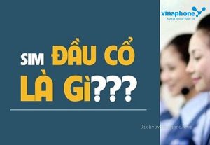 Sim đầu số cổ
