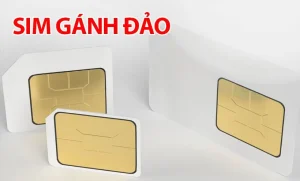 Sim gánh Đảo