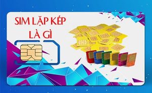 Sim Lặp Kép là gì