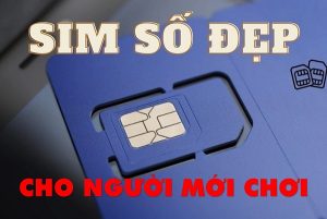 sim số đẹp cho người mới chơi