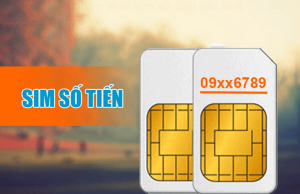 Sim sảnh tiến là gì