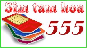 sim tam hoa 555