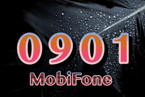 ý nghĩa sim đầu số 0901