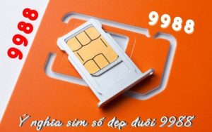 ý nghĩa sim đẹp 9988