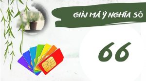 Giải mã ý nghĩa số 66