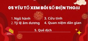 5 yếu tố chọn sim phong thuy